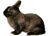 Captcha image 1630
